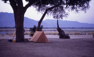 Mana pools Camping